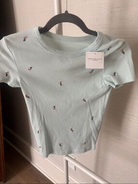 NWT American Eagle Outfitters Mint Ribbed Short Sleeve Tee, Tiny Rose Embroidery